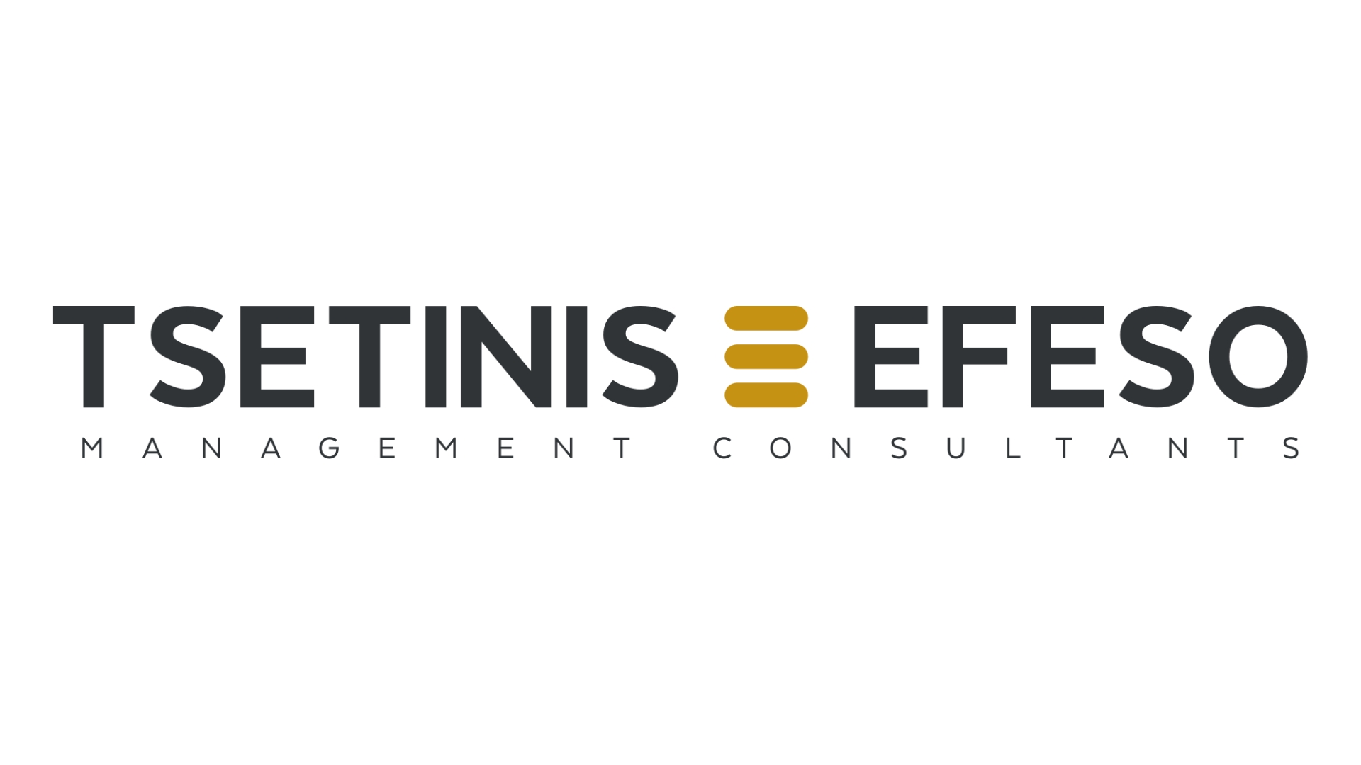 TSETINIS-EFSO Management Consultants